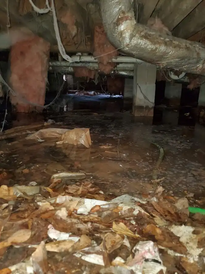 Crawl space flood assessment for Commercial Water Damage Restoration in Cornelia