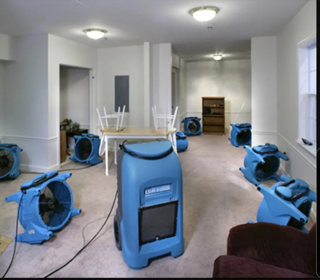 Air movers and dehumidifier setup for Water Extraction & Removal in Cornelia