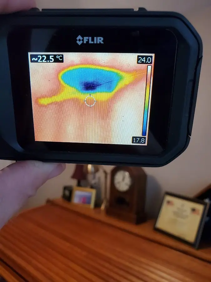Thermal imaging inspection for water damage in Cornelia